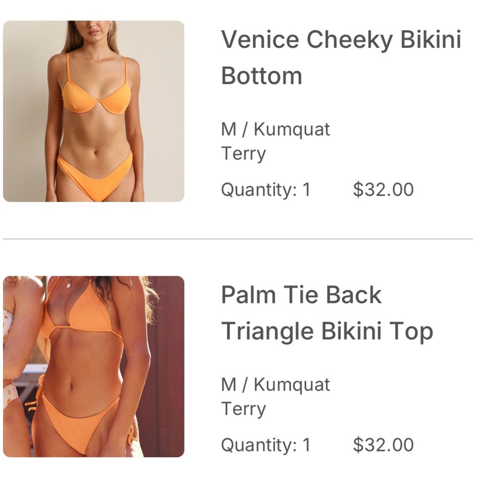 Dippin Daisy Venice Cheeky Bikini Bottom and Palm Tie Back Triangle Bikini Top